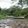 Salto de la Jalda National Park- The highest Waterfall in The Caribbean 272 feet - 이미지 3