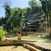 Day Pass Caño Hondo - Natural Pools & Lunch Included - 이미지 2