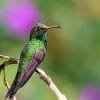 Los Haitises National Park Tour from Punta Cana, Montana Redonda & Caño Hondo - Image 14