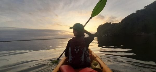 Kayaking in Los Haitises with Tour guide from Caño Hondo 4 Hours