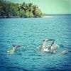 Mangroves Reforestation in Los Haitises With Locals on Kayak - تصویر 37