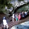 Excursión Privada a Los Haitises y Caño Hondo desde Sabana de la Mar – Bild 18