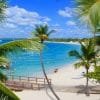 Catalina Island and Snorkeling with Catamaran Party From Punta Cana - Half Day Experience - obrazek 5