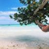 Saona Island Tour from Bayahibe - Natural Pool Excursion - Bilde 6