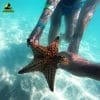 ⁦Saona Island Tour from Bayahibe - Natural Pool Excursion⁩ – תמונה ⁦7⁩