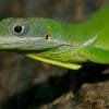 Hike + Kayak Los Haitises National Park from Punta Cana - 画像 (13)