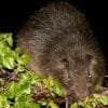 Hike + Kayak Los Haitises National Park - Image 23