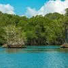 Excursión Privada a Los Haitises y Caño Hondo desde Sabana de la Mar – Bild 2