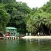 Excursión Privada a Los Haitises y Caño Hondo desde Sabana de la Mar – Bild 4