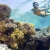 Catalina Island and Snorkeling with Catamaran Party From Punta Cana - Half Day Experience - Imagen 14