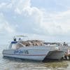 Excursión Samaná Ballenas + Cayo Levantado (Bacardi Island) + Cascada El Limón desde los hoteles de Punta Cana - Image 28