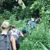 2 Hours Hiking Rain Forest Los Haitises - Image 9