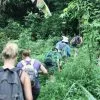 Parque Nacional Los Haitises excursión de Kayak y Senderismo - Gambar 10