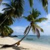 ⁦Playa Rincón (Rincon Beach), Playa Fronton + Playa Madame Beach, Samaná - Dominican Republic.⁩ - الصورة ⁦3⁩