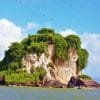 Los Haitises National Park Tour from Las Terrenas, Samana. Half Day Trip. - Image 6