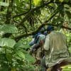 Excursión Parque Nacional Salto de la Jalda-El Salto más alto de El Caribe 272 pies - Imagen 10