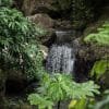 Samaná Day Trip From Bayahibe - El Limón Waterfall and Bacardi Island - Image 14