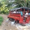 El Limón Waterfall and Bacardi Island (Cayo Levantado) Tour from Punta Cana Hotels - Image 8