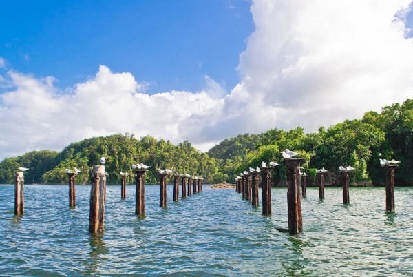 Los Haitises National Park Tour from Samaná Port + Bacardi Island (Cayo Levantado)