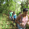 Los Haitises National Park - Hiking 4 Hours Sendero del Bosque Humedo (Moist Forest Trail). - Image 6