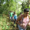 Parque Nacional Los Haitises excursión de Kayak y Senderismo - Gambar 2