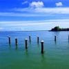 Kayaking in Los Haitises with Tour guide from Caño Hondo 4 Hours - Image 18