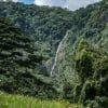 Excursión Parque Nacional Salto de la Jalda-El Salto más alto de El Caribe 272 pies - Imatge 15