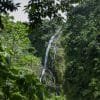 Salto de la Jalda National Park- The highest Waterfall in The Caribbean 272 feet - Gambar 18