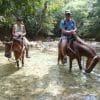 El Limón Waterfall and Bacardi Island (Cayo Levantado) Tour from Punta Cana Hotels - Image 10