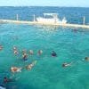 Four Adventures: Parasailing, Snorkeling Cruise, Sharks & Rays in Natural Pools from Punta Cana - Imatge 7