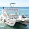 Excursion Whale Watching Samana bay + Cayo Levantado  from Puerto Plata (Private Transportation) - Bilde 2