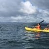 ⁦Cayo Levantado & Kayaking + Snorkeling⁩ – תמונה ⁦20⁩