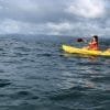 Private Kayaking & Snorkeling with Lunch on Cayo Levantado Island - Image 21