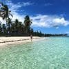 Saona Island Private Tour from Punta Cana Hotels- Punta Cana Lobby - Gambar 5