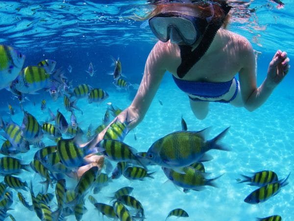 Four Adventures: Parasailing, Snorkeling Cruise, Sharks & Rays in Natural Pools from Punta Cana