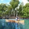 Taino's Canoe in Los Haitises National Park - Bild 5