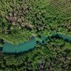 Taino's Canoe in Los Haitises National Park - Bild 8