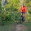 Los Haitises Taino's Canoe + Mountain Bike Tour - Image 31