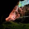 Taino's Canoe in Los Haitises National Park - Image 17