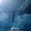 Bayahibe: Snorkeling Tour - Sea, Cotubanama park & Cenotes - Imaxe 8